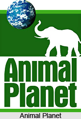 Animal Planet