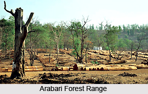 Arabari Forest Range, West Bengal