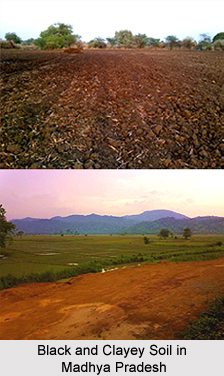Soils of Madhya Pradesh