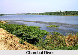 Chambal River