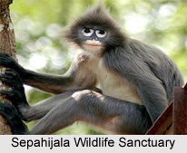 Flora and fauna in Tripura