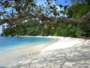 Havelock Island, Indian Islands