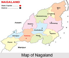 History of Nagaland, Nagaland