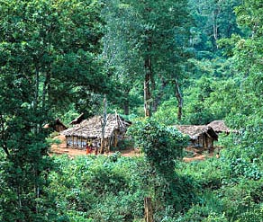 Indian Forest Service, Indian Administration