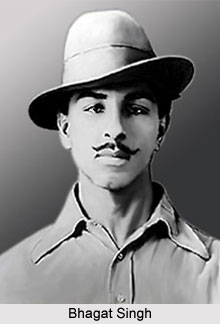 Indian Freedom Struggle