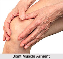 Causes of Joint Muscle Ailments