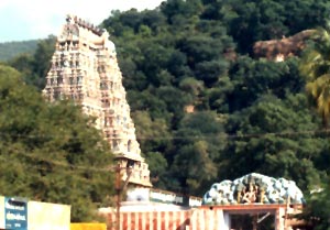 Kallazhagar Koil Temple, Tamil Nadu