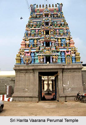 Sri Harita Vaarana Perumal Temple, Nazarethpettai, South India