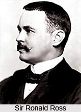 Medicinal Researches in British India