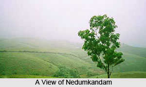 Nedumkandam, Idukki District, Kerala