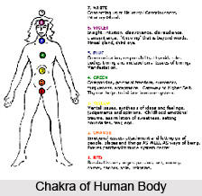 Negative Chakras