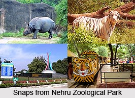 Nehru Zoological Park, Hyderabad, Telangana