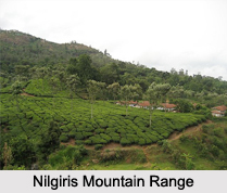 Nilgiris Mountain Range