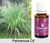 Palmarosa Oil