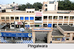 Pingalwara, Sikhism