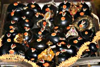 Salagrama