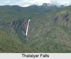 Thalaiyar Falls, Tamil Nadu