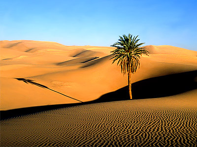 Thar Desert in India