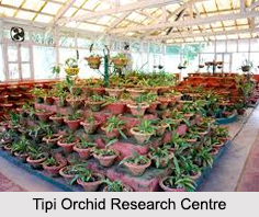 Tippi Orchid Research Centre, Arunachal Pradesh