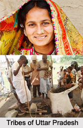 Tribes of Uttar Pradesh