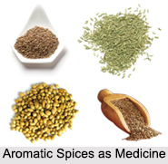 Use of Aromatic Spices as Medicines, Classification of Medicine