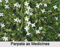 Use of Parpata as Medicines, Classification of Medicine