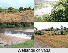 Vada, Village in Maharashtra