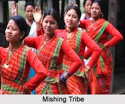 Villages of Mishing Tribe
