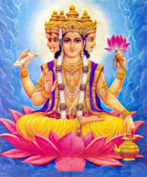 brahma