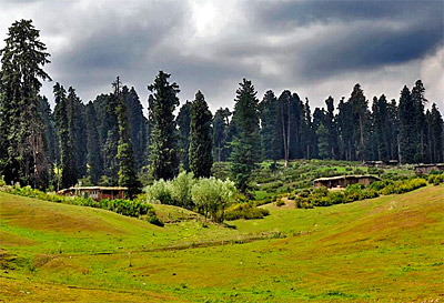 Flora and Fauna of Jammu & Kashmir