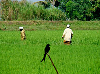 Bankura District