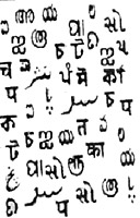  Indo- Aryan language 