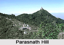 Parasnath Hills, Jharkhand