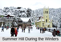Summer Hill, A Small Town At Shimla