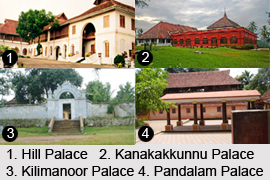 Palaces in Kerala, Indian Monuments