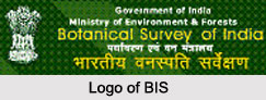 Botanical Survey of India, Andaman and Nicobar Islands