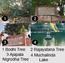 Seven Sacred Places, Bodh Gaya