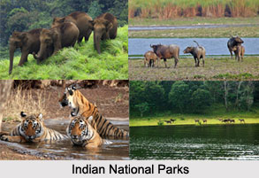 Indian National Parks