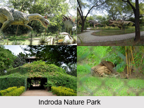 Indroda Nature Park, Gujarat