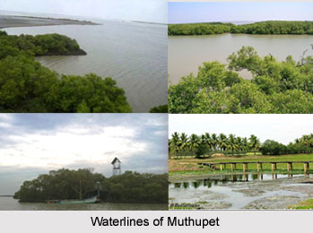 Muthupet, Tiruvarur District, Tamil Nadu