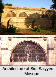 Sidi Saiyyed Mosque, Ahmedabad, Gujarat