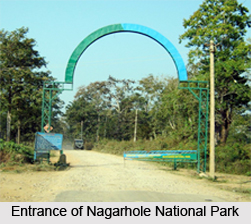 Nagarhole National Park, Karnataka