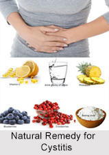 Natural Remedy for Cystitis, Indian Naturopathy