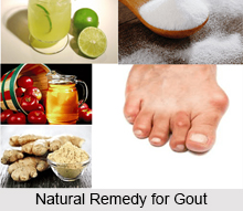 Natural Remedy for Gout, Indian Naturopathy
