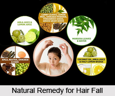 Natural Remedy for Hair Fall, Naturopathy
