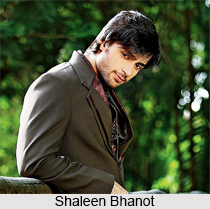 Shaleen Bhanot, Indian TV Actor