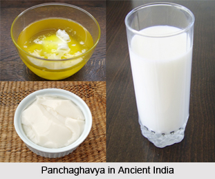 Food in Ancient India, History of Indian Food