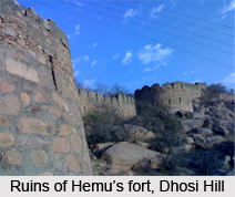 Fort of Dhosi Hill
