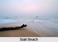 Siali Beach, Jagatsinghpur District, Odisha