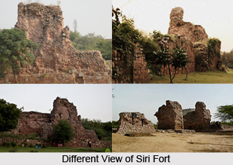 Siri Fort, Delhi